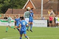 Panjab FA bow out of 2018 CONIFA World Football Cup