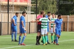 Panjab FA bow out of 2018 CONIFA World Football Cup