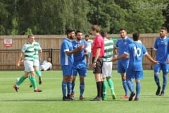 Panjab FA bow out of 2018 CONIFA World Football Cup