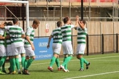 Panjab FA bow out of 2018 CONIFA World Football Cup