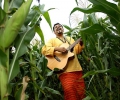 Raghu Dixit