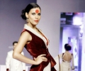 Rajasthan Fashion Week 2013