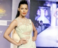 Rajasthan Fashion Week 2013