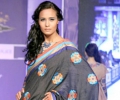 Rajasthan Fashion Week 2013