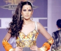 Rajasthan Fashion Week 2013