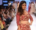 NIKHIL THMPI, PAYAL SINGHAL