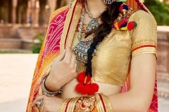 Stunning Bandhej Sarees to Give You a Royal Look