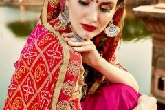 Stunning Bandhej Sarees to Give You a Royal Look