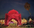 Sephi Bergerson iPhone 6s Plus wedding album