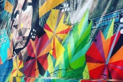 Street Art Empowers Transgender People in India