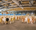Sydney hosts Luxurious Indian Wedding for 1,600
