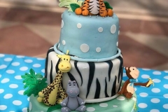 Tamiur-1st-Bday-10