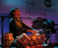 Talvin Singh
