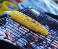 image00033