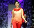 Winter Festive Lamke Fashion Week 2010