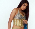 Deep Yellow and Blue Lengha