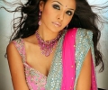 Embroided Saree Blouse and Pall