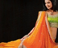 Orange and Lime Saree