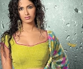Printed Saree