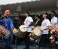 World 501 Dholi\'s
