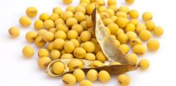 Health Benefits of Soya