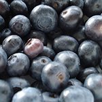 Blueberries
