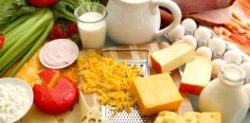 High Protein Foods