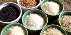 Rice Dishes of South Asia
