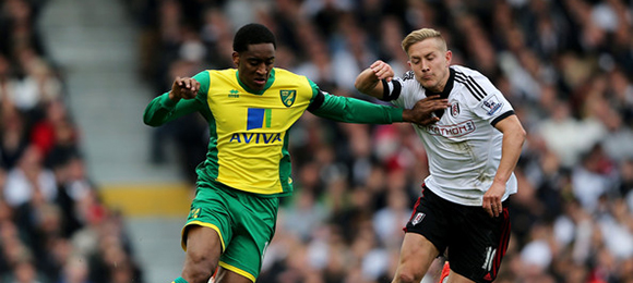 Premier League - Fulham V Norwich