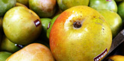 The Wonderful Benefits of Indian Mangoes