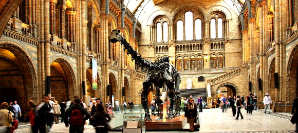 Top 5 London Museums/Galleries