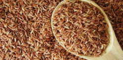 Why Brown Rice is Healthier for You