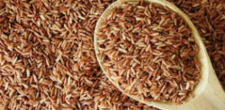 Why Brown Rice is Healthier for You