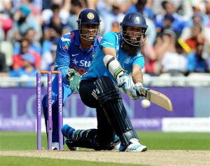 Cricket