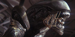 Alien: Isolation a true Survival Horror experience
