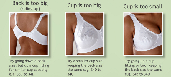 Underwear for Women ~ Do you know your Size?