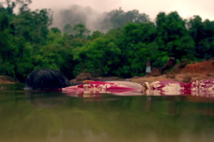 Indian Summers 