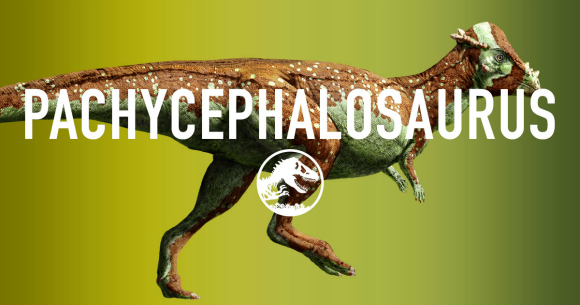 Jurassic World Pachycephalosaurus