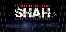 Pakistani stars attend Shah premiere
