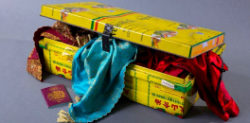 Whose Sari Now? By Rani Moorthy