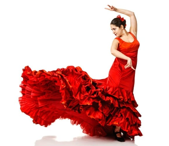 flamenco image