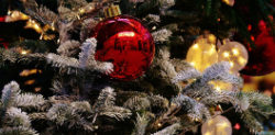 What Size is your Christmas Tree?