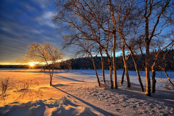 5 Poems About Winter