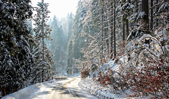 5 Poems About Winter
