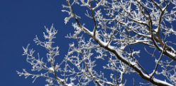 5 Beautiful Poems About Winter