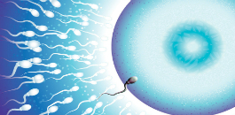 Cyborg Sperm to Help Male Infertility featured