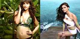 Kingfisher-Calendar-2016