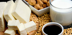 Where can Vegans get their Protein?