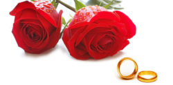 To Love and Marry or To Love and Lose?