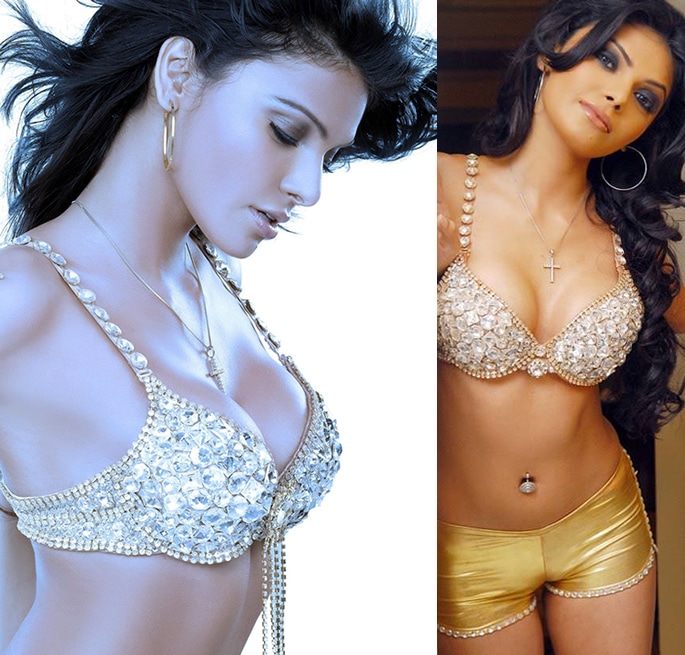 14 Most Expensive Bollywood Costumes Ever Worn by Stars - Sherlyn Chopra